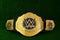 WWE Worldwide Heavyweight Wrestling Championship Belt TS-5003