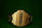 UFC Classic Championship Belt TS-5016