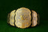 AEW World Championship Belt TS-5010