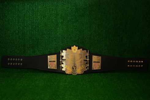AWA World Heavyweight Wrestling Championship Belt TS-5000