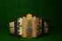 AWA World Heavyweight Wrestling Championship Belt TS-5000