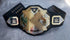 WWE NXT Wrestling Championship Belt TS-5019