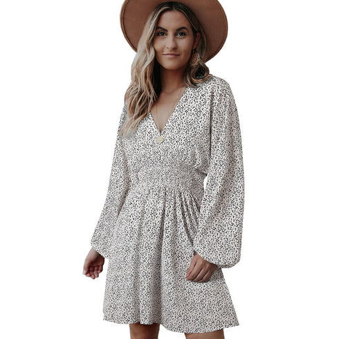 Women's Polka Print Long Sleeve A-line Dress