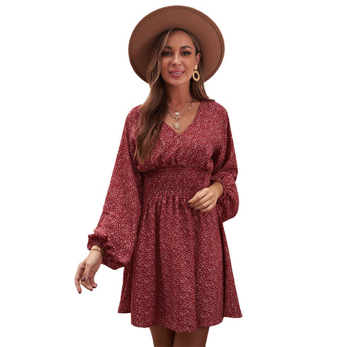 Women's Polka Print Long Sleeve A-line Dress